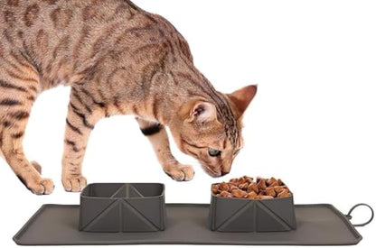 Feeder & Waterer