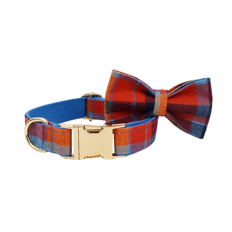 Pet Collars & Harnesses