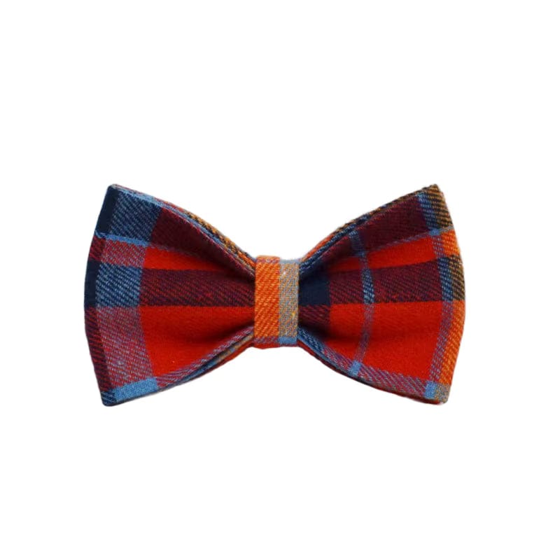 Pet Collars & Harnesses