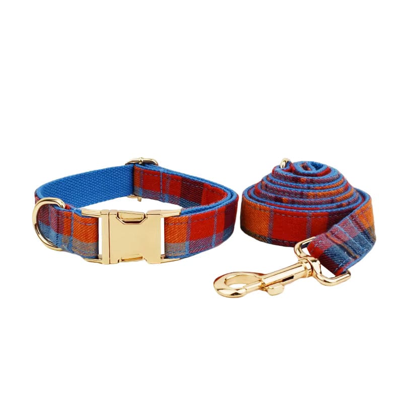 Pet Collars & Harnesses