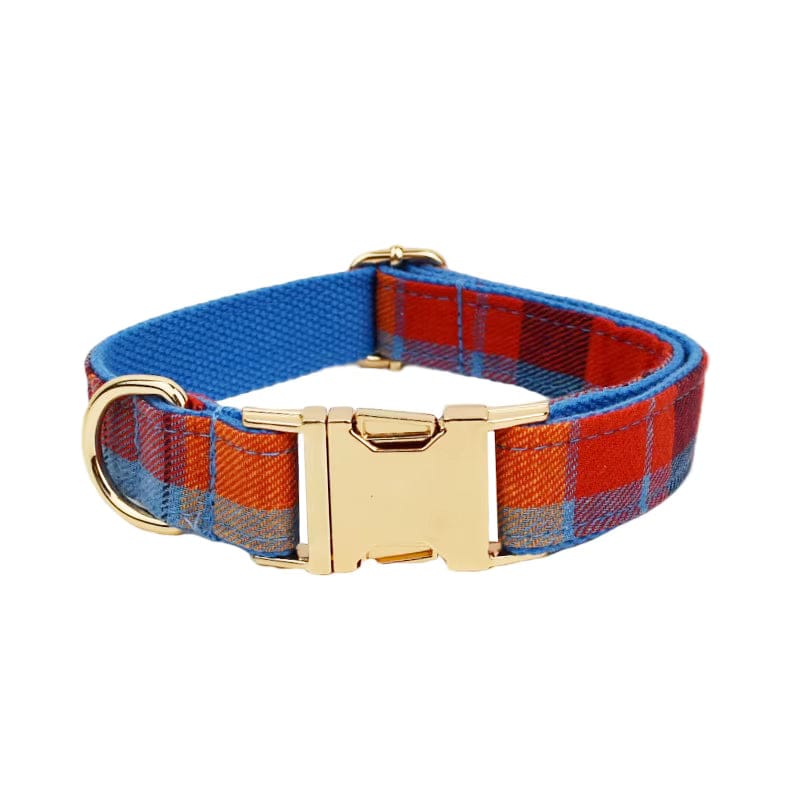 Pet Collars & Harnesses