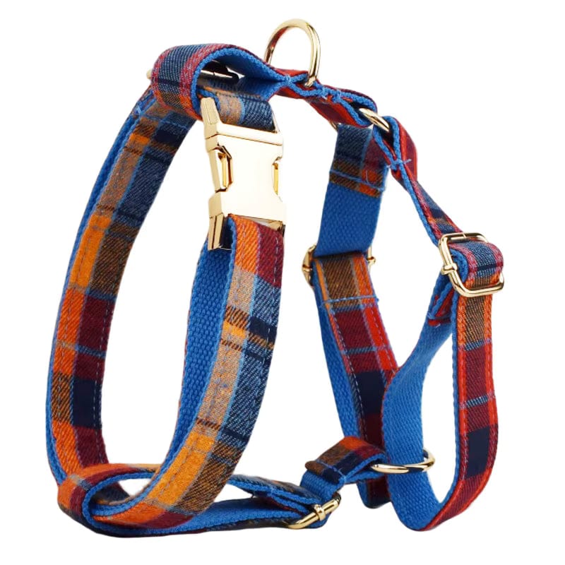 Pet Collars & Harnesses
