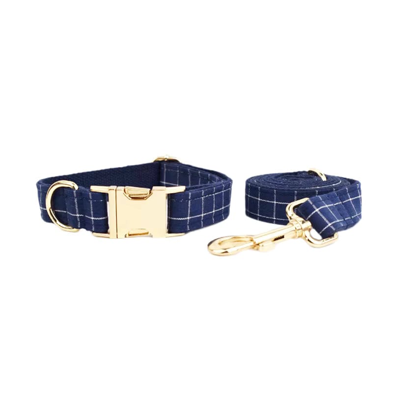 Pet Collars & Harnesses