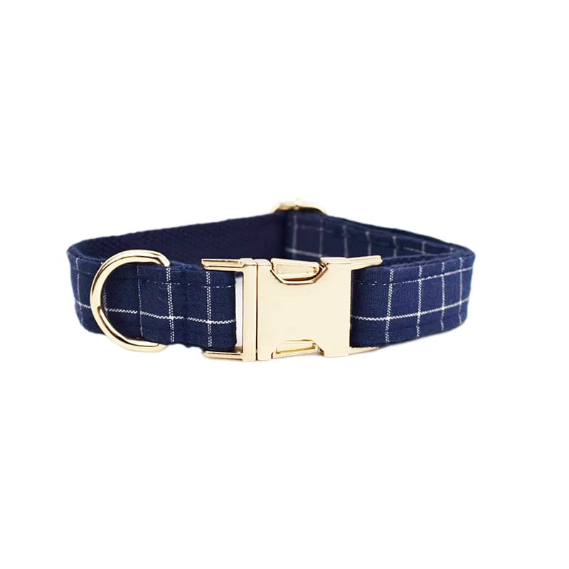 Pet Collars & Harnesses