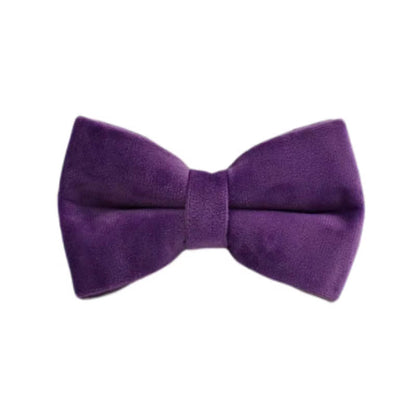 Pet Collars & Harnesses