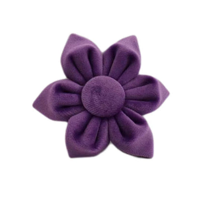 Pet Collars & Harnesses