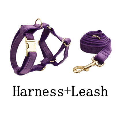 Pet Collars & Harnesses