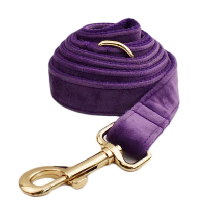 Pet Collars & Harnesses
