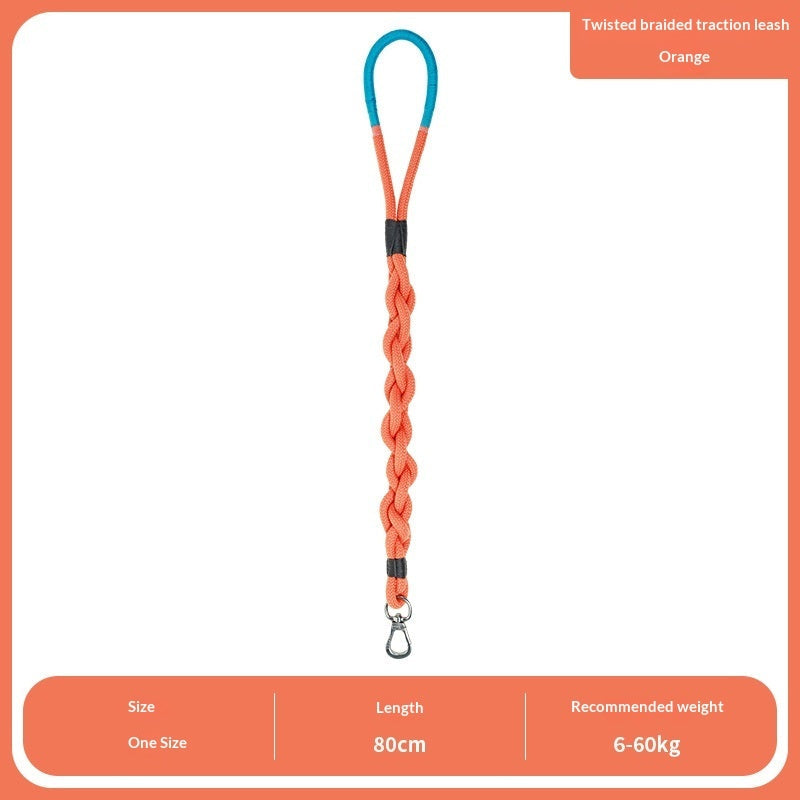 Leashes, Collars & harnesses