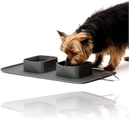 Feeder & Waterer