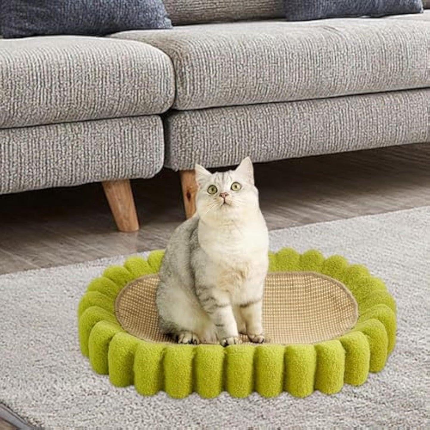 Cat Scratcher