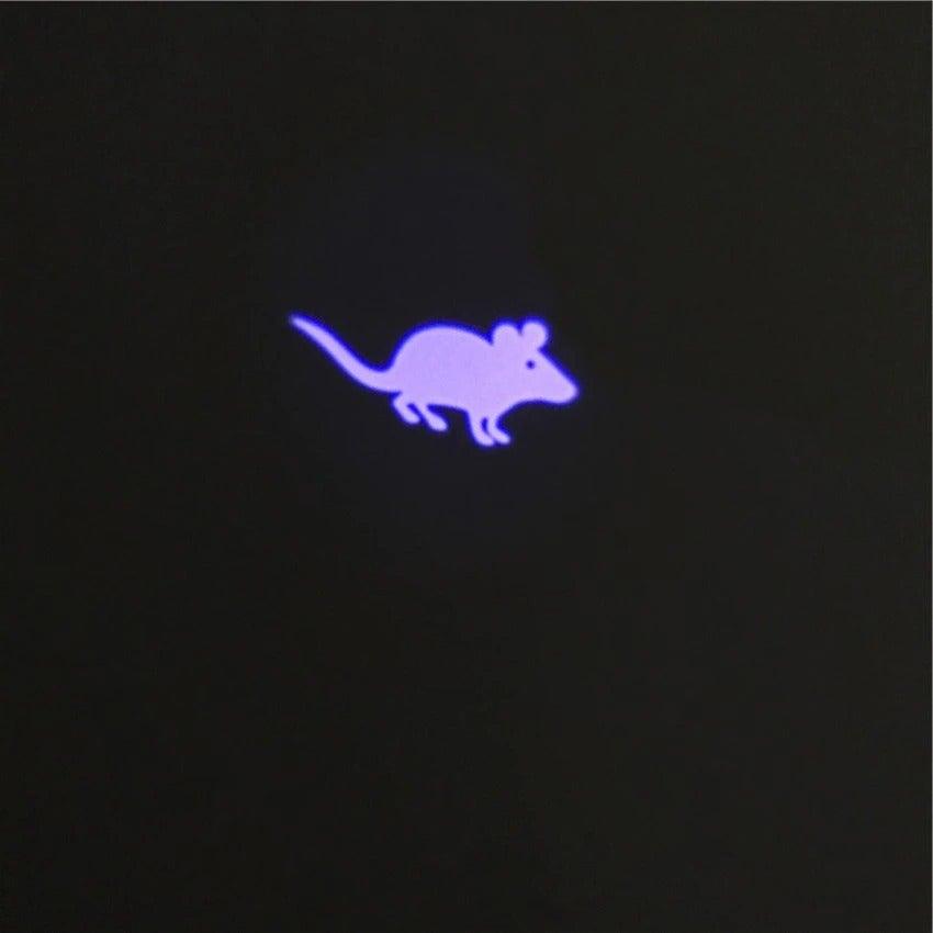 Laser Cat Toy
