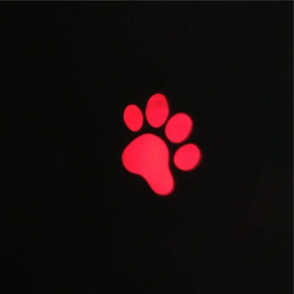 Laser Cat Toy