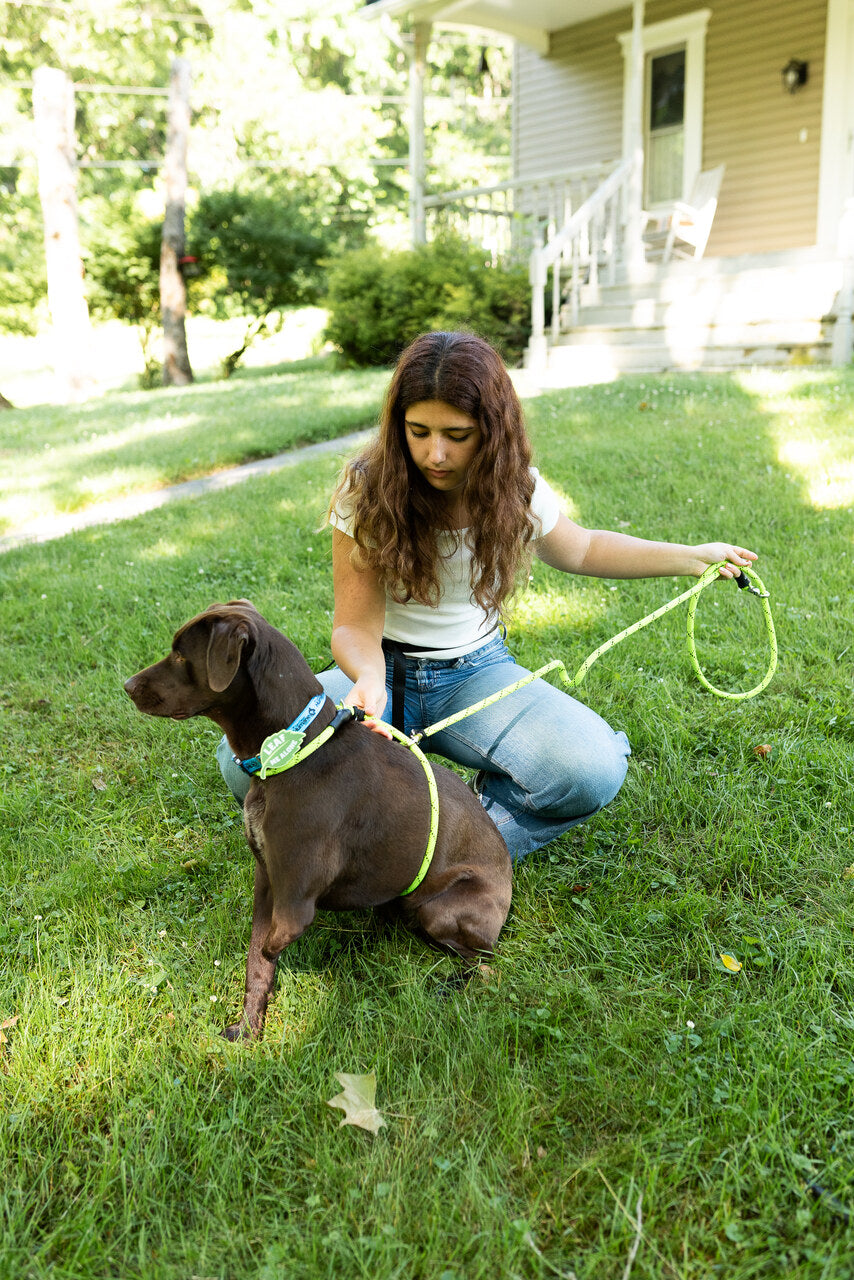 Rescue Pro Harness Leash