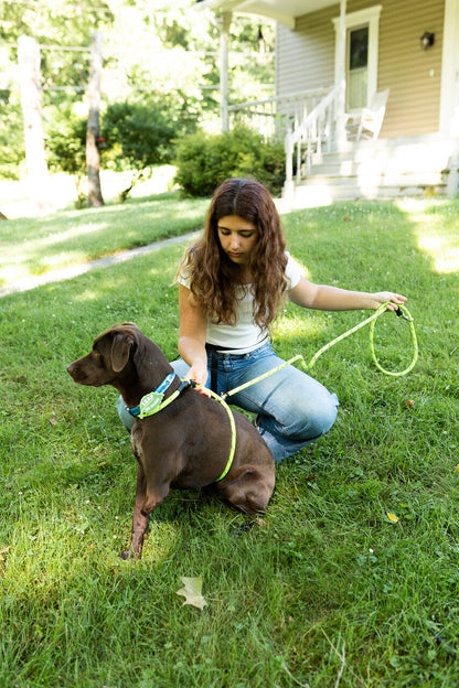 Rescue Pro Harness Leash