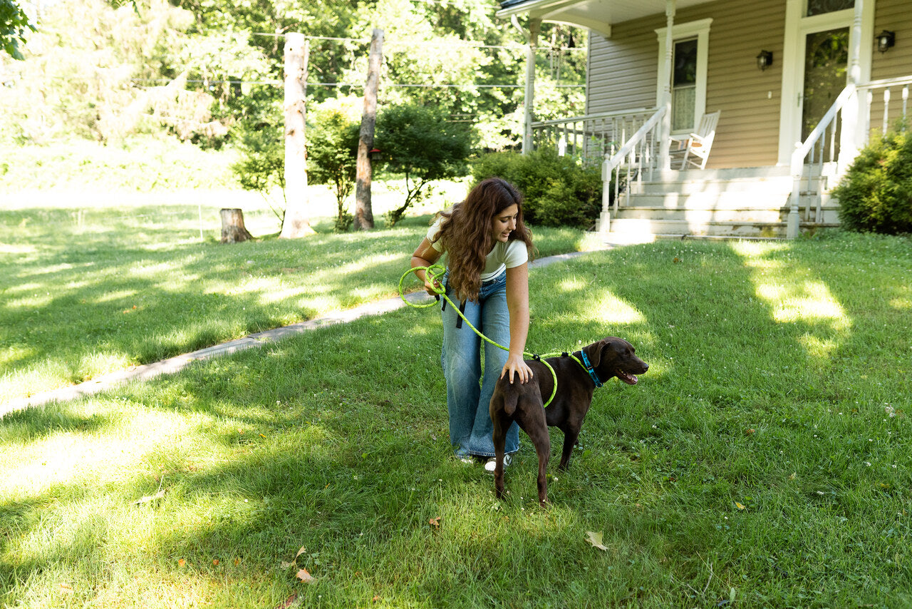 Rescue Pro Harness Leash