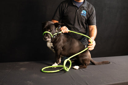 Rescue Pro Harness Leash