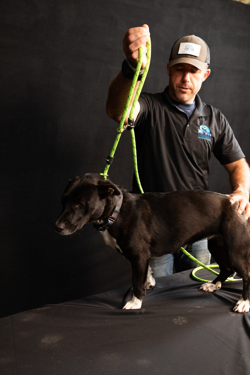 Rescue Pro Harness Leash