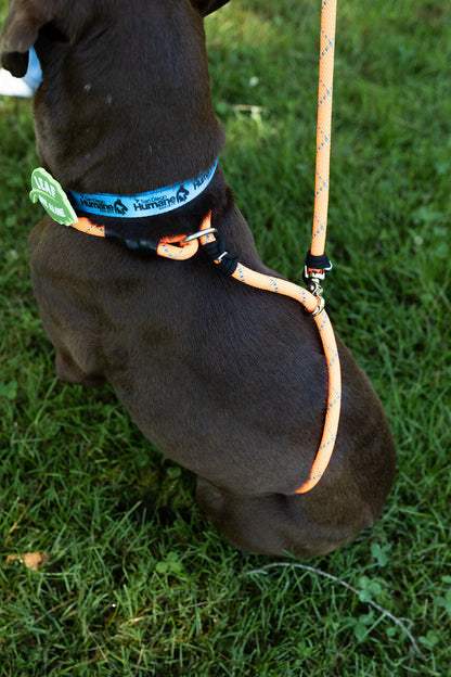 Rescue Pro Harness Leash