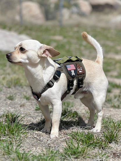 Light Vest
