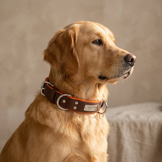 Dual D-Ring PU Leather Dog Collar with Nameplate