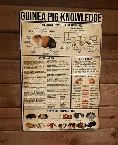 Guinea Pig Metal Wall Sign