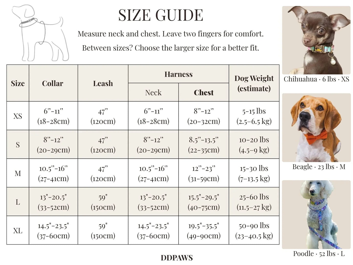 Pet Collars & Harnesses