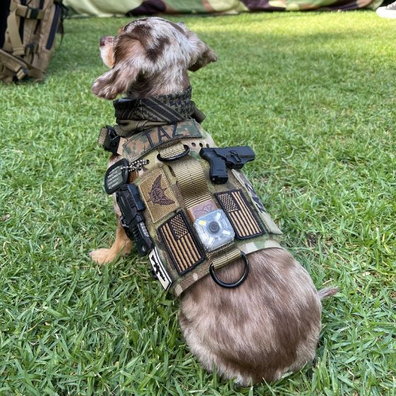 Light Vest