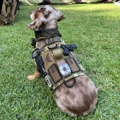 Light Vest