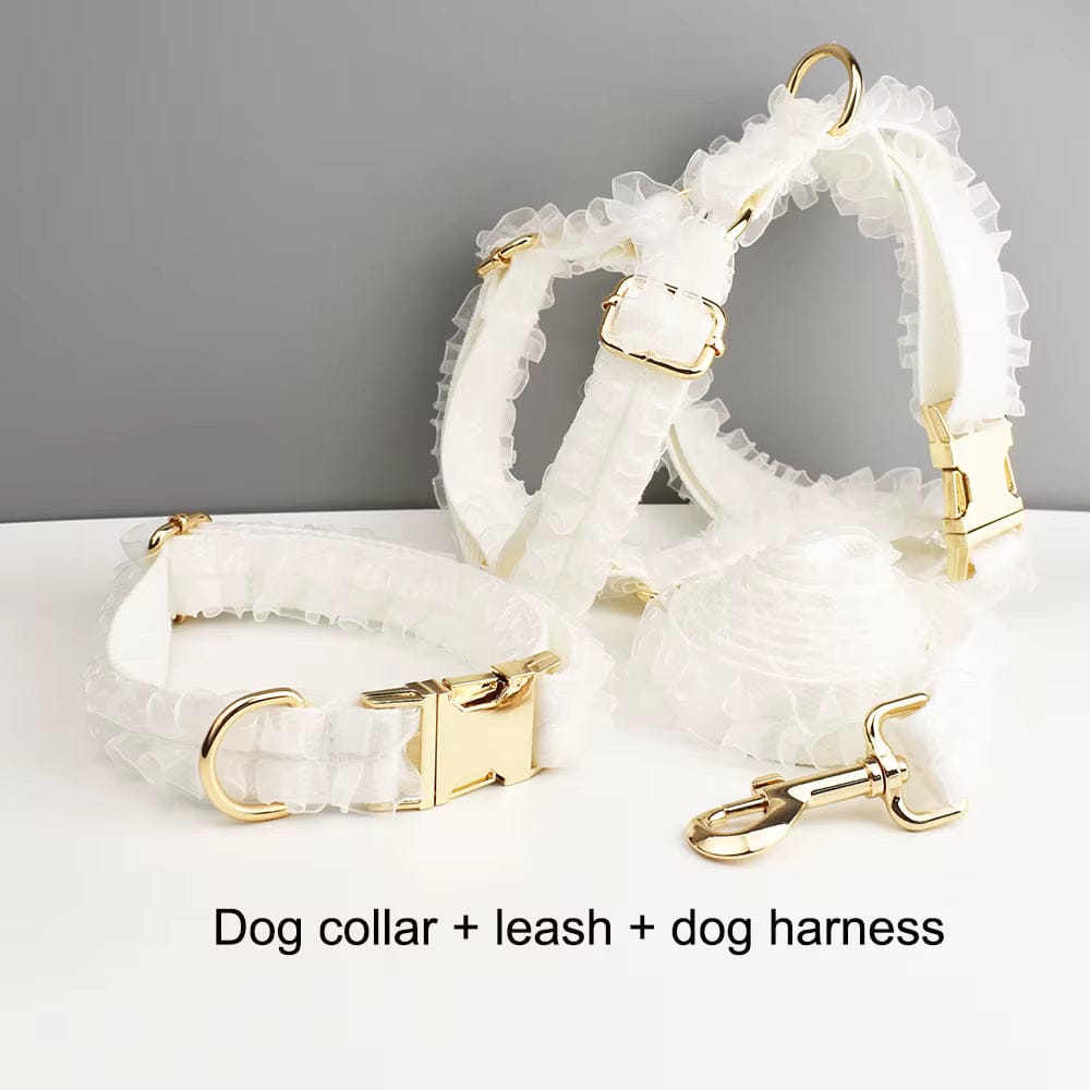 Pet Collars & Harnesses