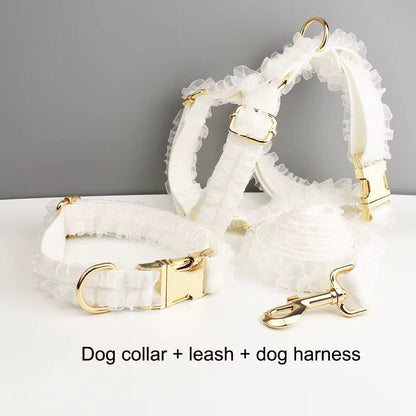 Pet Collars & Harnesses