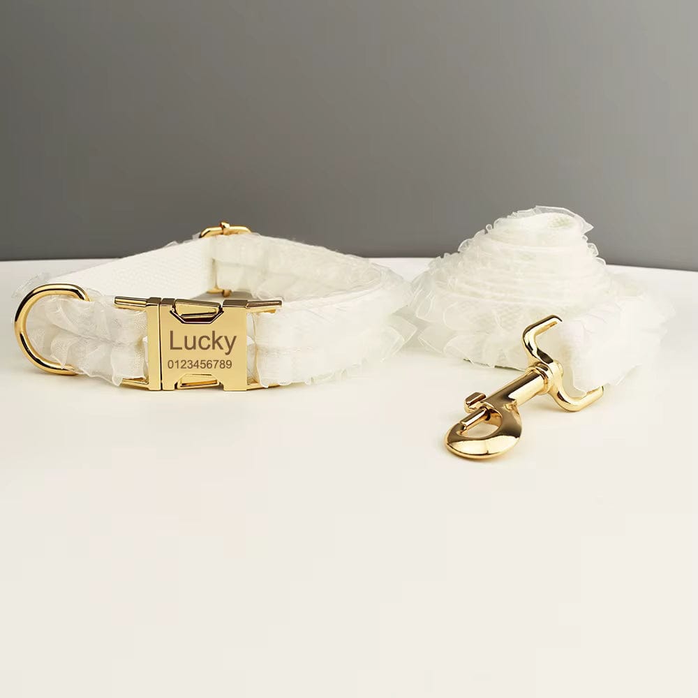 Pet Collars & Harnesses