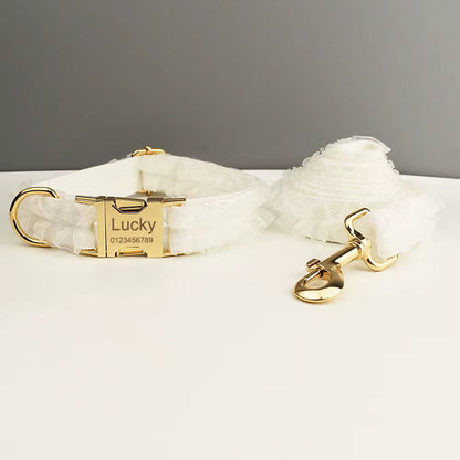 Pet Collars & Harnesses