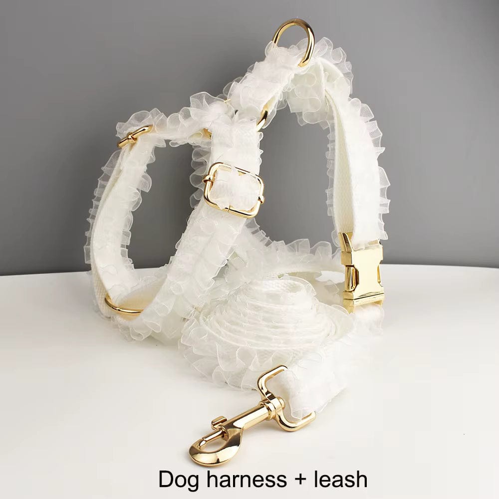 Pet Collars & Harnesses