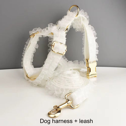 Pet Collars & Harnesses