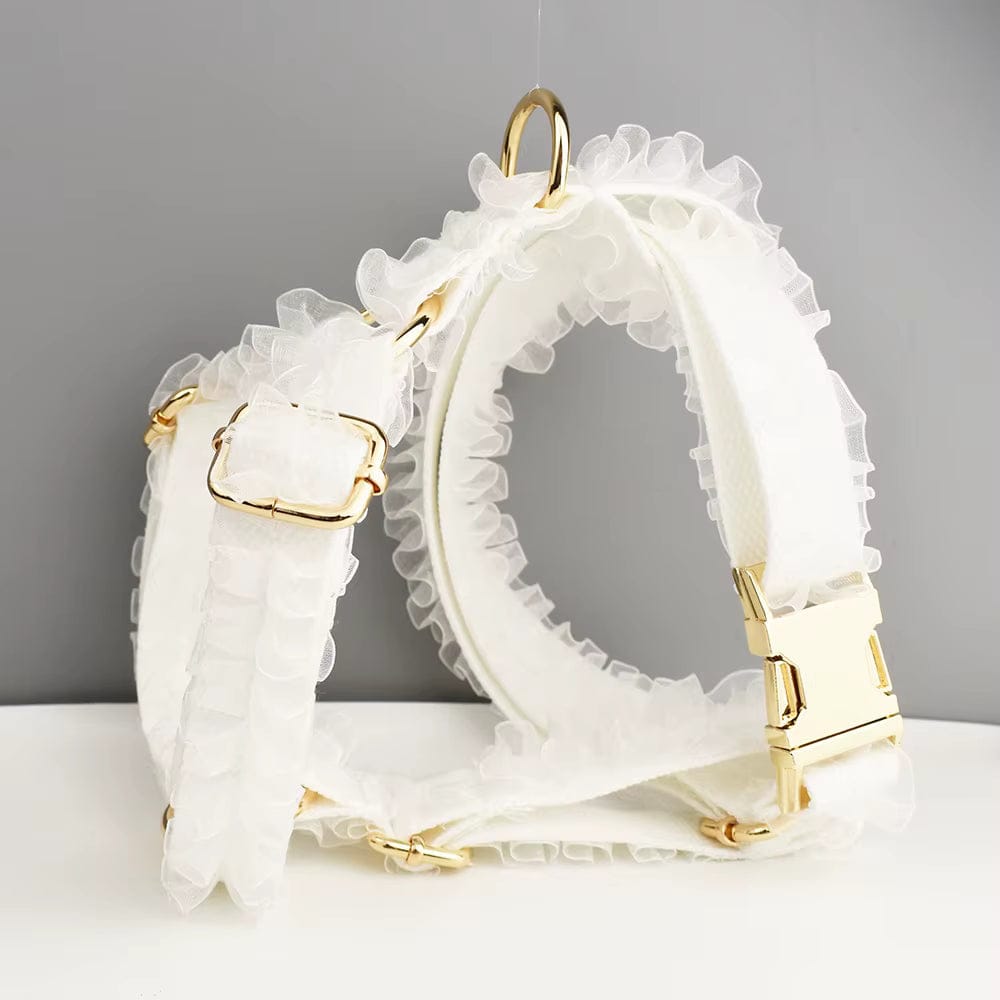 Pet Collars & Harnesses