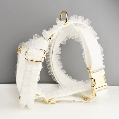 Pet Collars & Harnesses